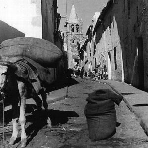 Calle Caleros