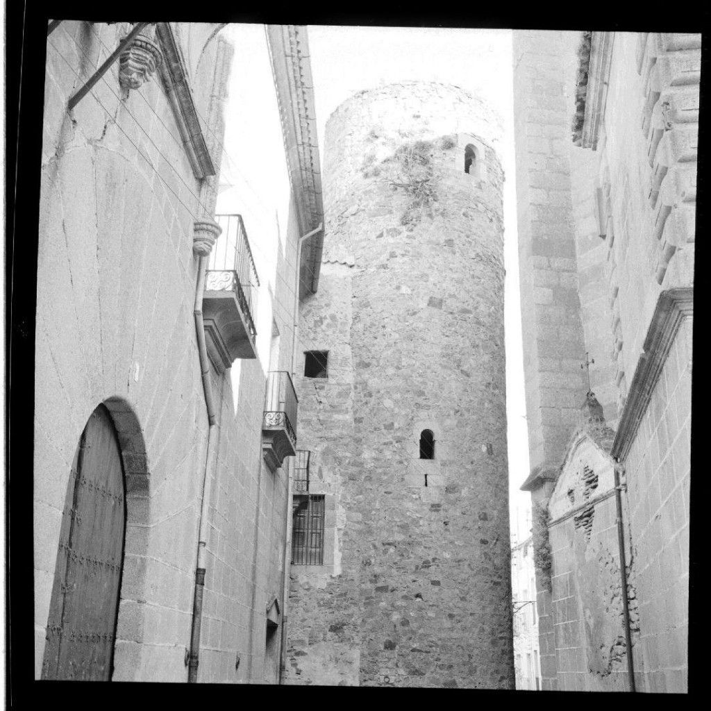 Torre del Palacio de Carvajal