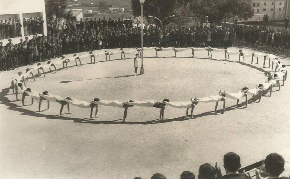 Exhibición gimnástica IES El Brocense