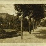 Paseo de Canovas