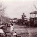 Paseo de Cánovas
