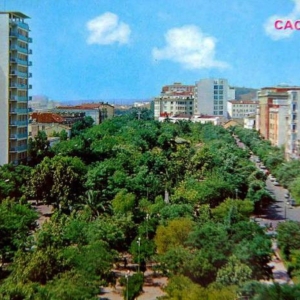 Paseo de Cánovas