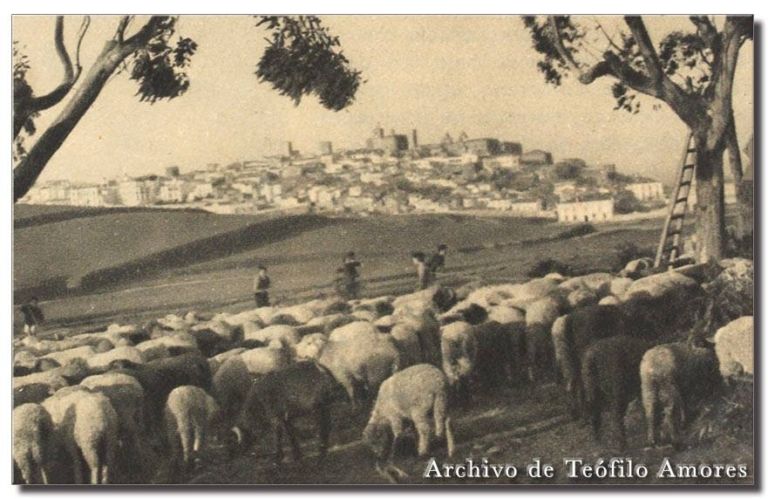 El Rodeo