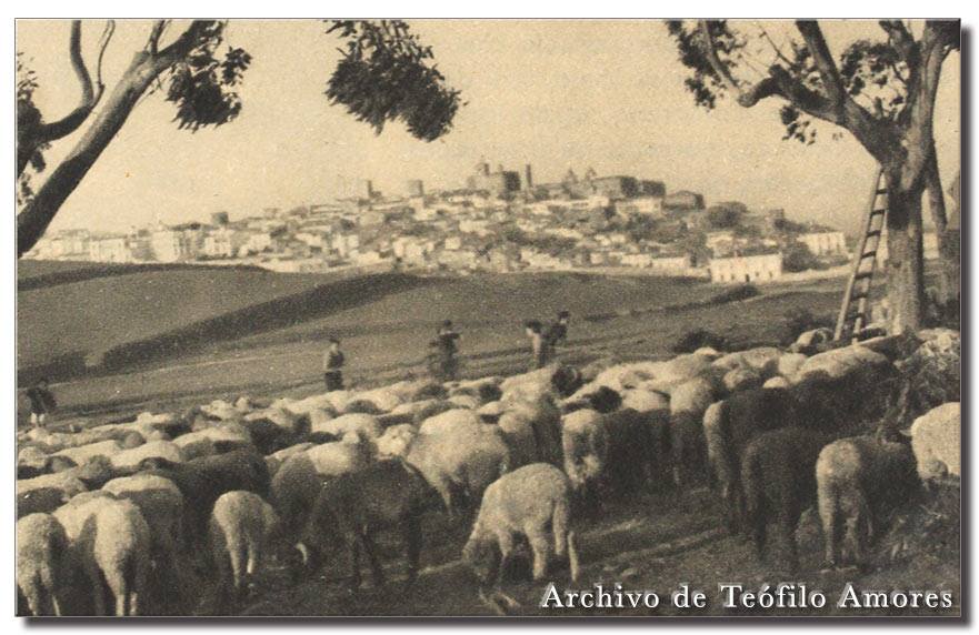 El Rodeo
