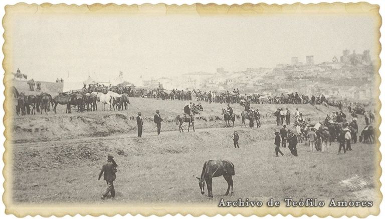 El Rodeo