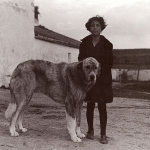 Niña con mastín extremeño