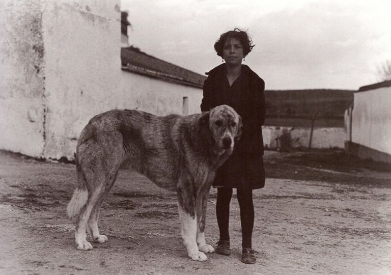 Dehesa de los Arenales. Niña con mastín extremeño