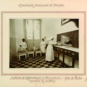 Instituto de Maternología y Puericultura = Gota de leche.