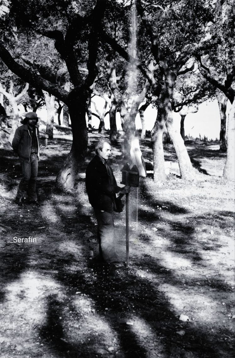 Romería Paseo Alto