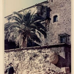 Puesto de melones. Cáceres