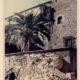 Puesto de melones. Cáceres