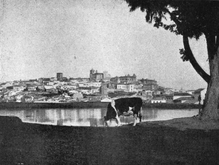 Vida rural