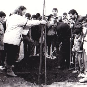 Día del Arbol 1990