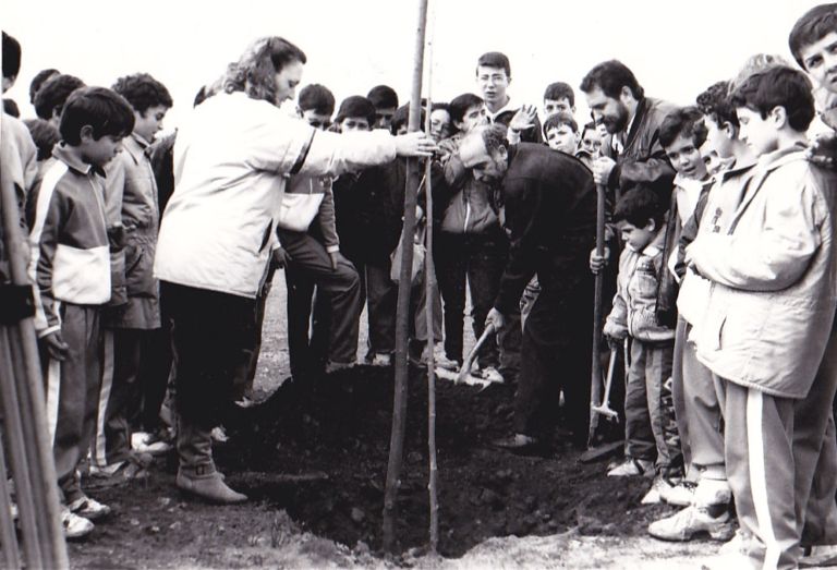 Día del árbol