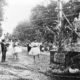 Batalla de flores en el Paseo de Cánovas