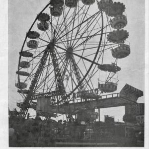 Noria feria Caceres 1971