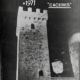 Portada Programa Feria San Miguel 1971