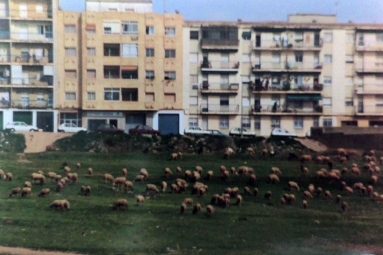 Calle Santa Luisa de Marillac
