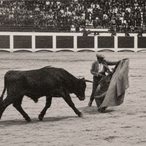 Franquete toreando