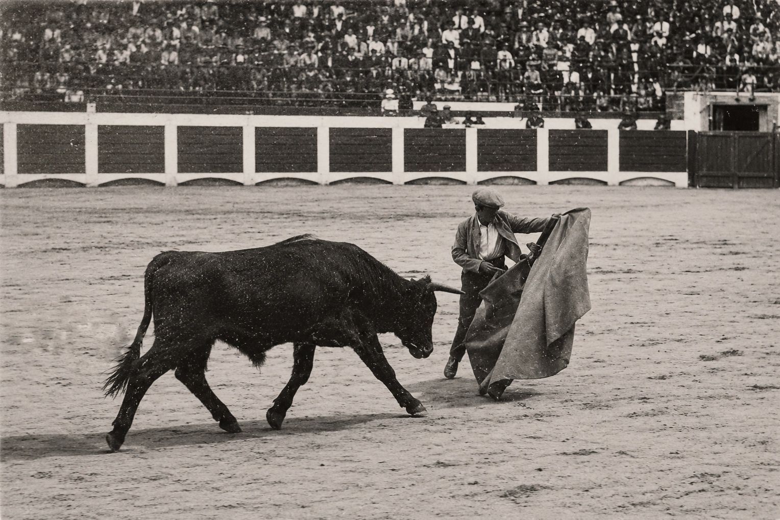 Franquete toreando en un Festival Solidario
