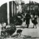 Plaza Mayor 1911