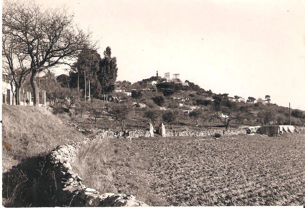Vista de la Montaña