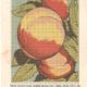 publicidad Farmacia Castel