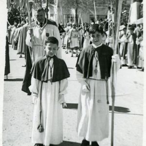 Cofradia de los Ramos