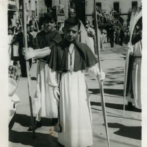 Cofradia de los Ramos