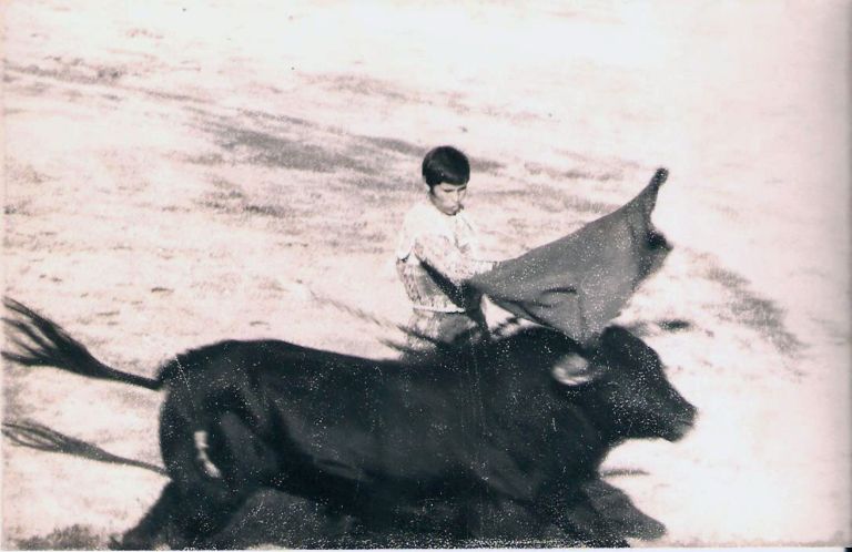 Toros en Cáceres