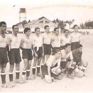 Cacereño