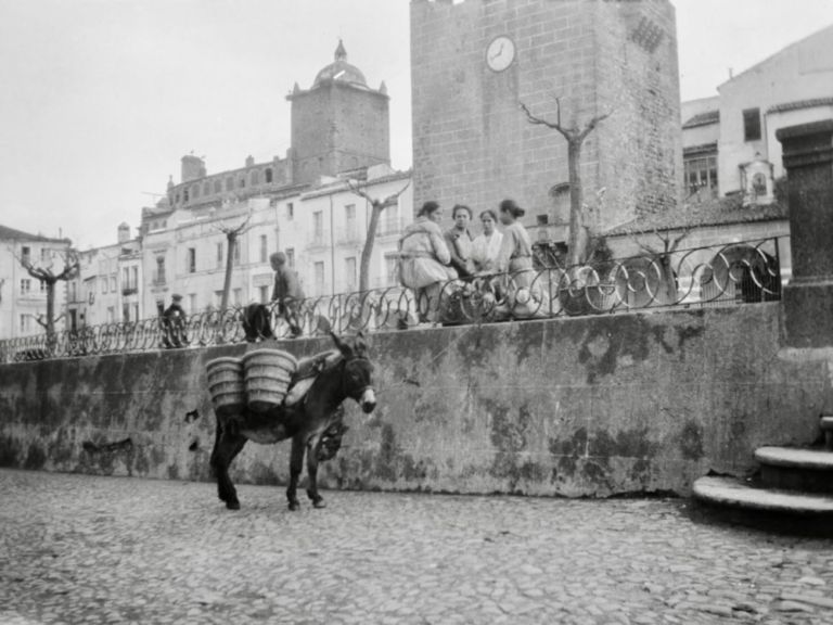 Burro con aguaderas de esparto
