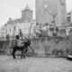 Burro con aguaderas de esparto