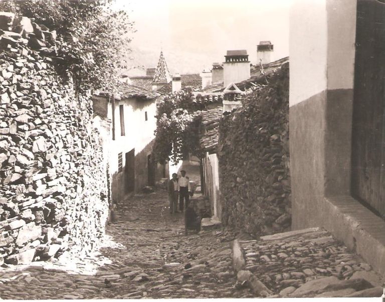 Calle empedrada en Guadalupe