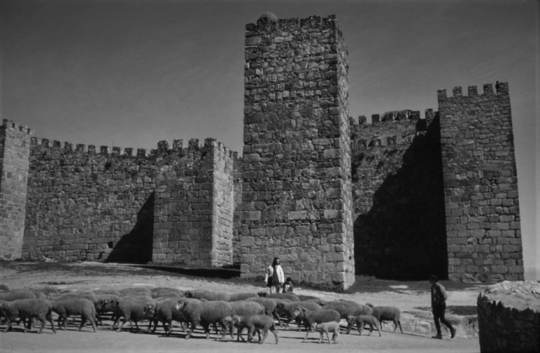 Castillo de Trujillo