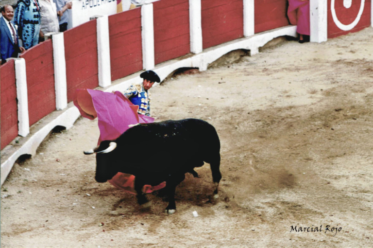 Julio Robles en la feria de Cáceres