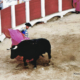 Julio Robles en la feria de Cácers