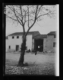 Acacia protegida con matorrales · Ruth Matilda Anderson, 1928