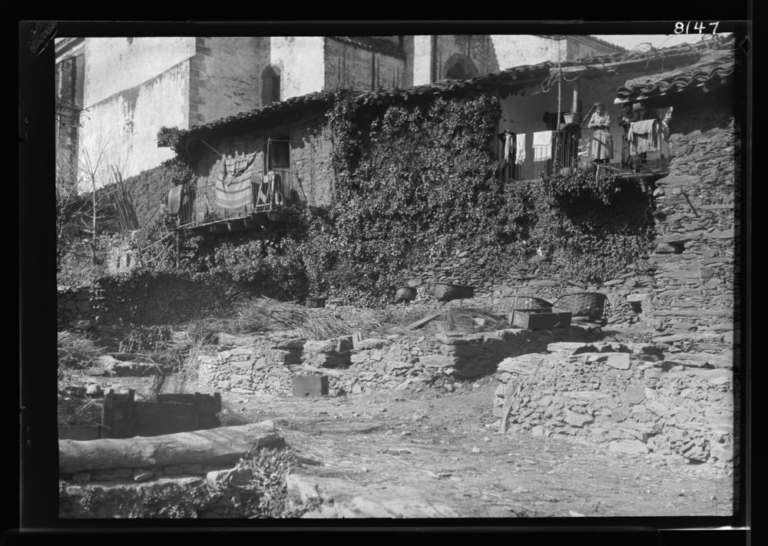 Aceite de oliva: almazara