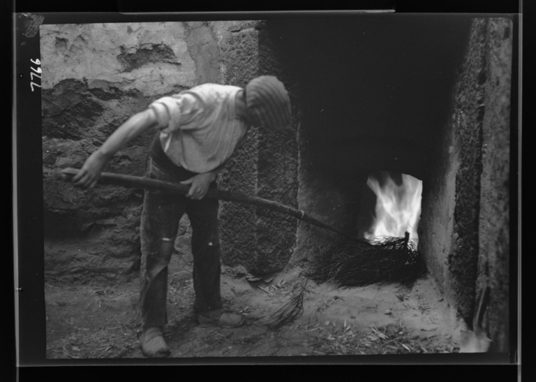 Alfar del río Jerte: echando retama al fuego del horno