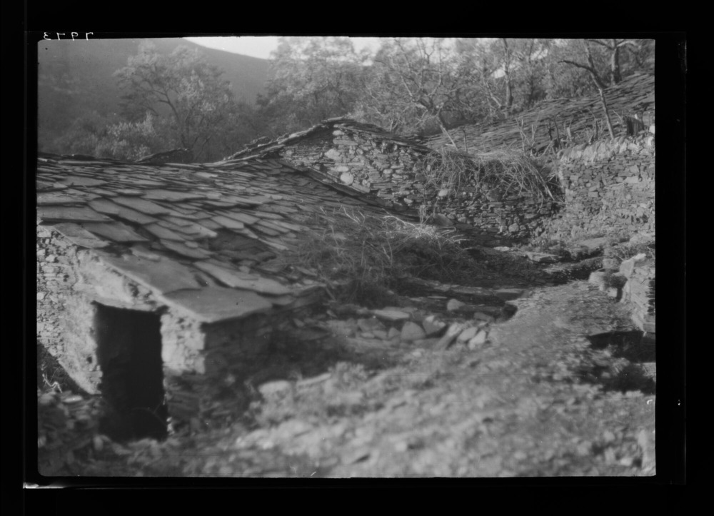 Almazara: pozo exterior de aceitunas