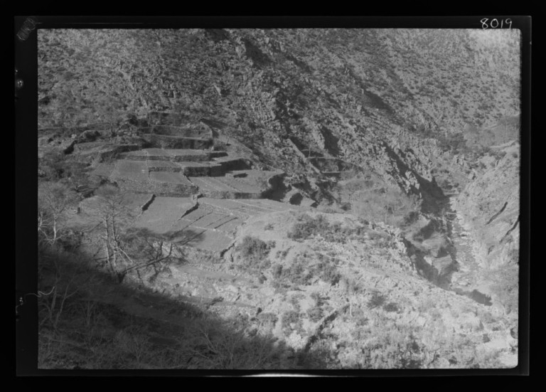 Bancales abandonados junto al río Fragosa
