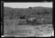Bueyes arando un campo a unos diez kilómetros de Plasencia, en la carretera de Cuacos · Ruth Matilda Anderson, 1928