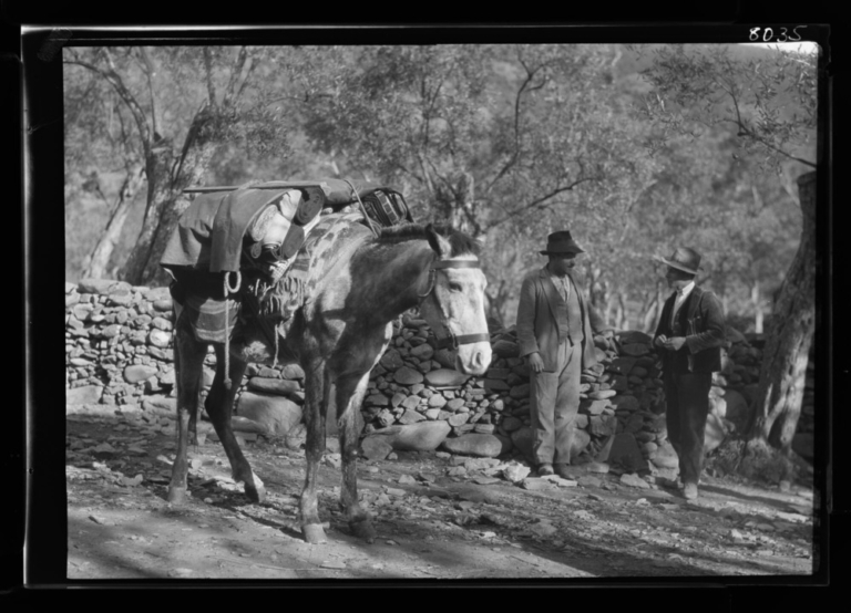 Buhonero con sus caballos y su carga