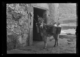 Burro cargado con latas de aceite a la puerta de una almazara · Ruth Matilda Anderson, 1928
