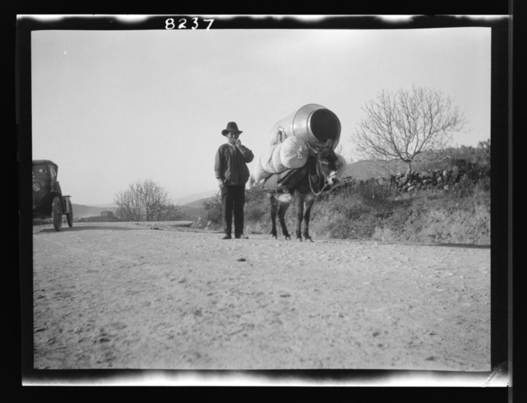 Burro cargando una tinaja de lata