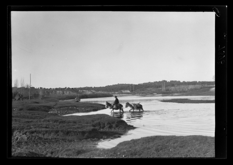 Burros vadeando el río Jerte, con la barca al fondo