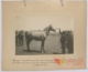 Caballo semental de raza española: primer premio · Julián Perate Barroeta, 1920