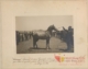 Caballo semental de raza española: segundo premio · Julián Perate Barroeta, 1920