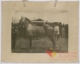 Caballo semental · Javier García Téllez, 1920